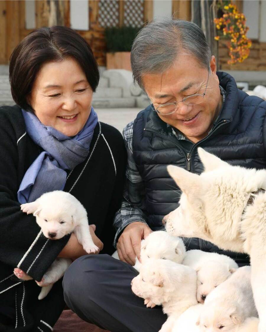 Решена судьба собак президента Мун Чжэ Ина
